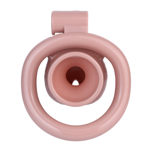 Jaula de castidad negativa invertida FRRK con correa de cinturón de castidad, jaula de castidad con forma de pene, juguetes sexuales para adultos SM, venta al por mayor de fábrica. - Product Image 2