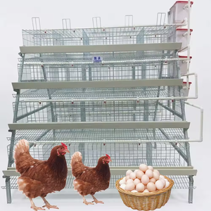 Cage à batterie pour poules pondeuses, conception RTL, poulailler d'élevage pour poules pondeuses, équipement d'élevage pour ferme avicole - Product Image 1