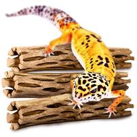 Spot de basking en bois de Cholla pour lézards léopards, décoration artistique pour la maison, accessoires pour lézards et dragons barbus, vente en gros