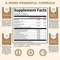 Capsules végétaliennes Équilibre Cortisol Ashwagandha Magnésium Glycinate L-Théanine Mélange Herbal Apaisant Anti-Stress Adulte Supplément OEM