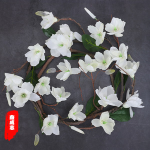Décorations murales de mariage en fleurs de soie rose Magnolia Vine 100cm-200cm - Product Image 4
