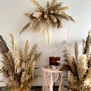 D478 Fleurs séchées naturelles, grandes plumes de pampa beige pour la décoration de la maison et des mariages - Product Image 4