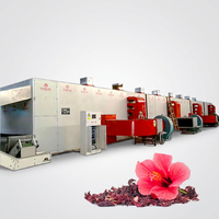 Industriële voedselveilige automatische kruiden-droogmachine met gaasband voor landbouwgebruik, geschikt voor hibiscusbloemen, hop, hyacint en andere kruiden.