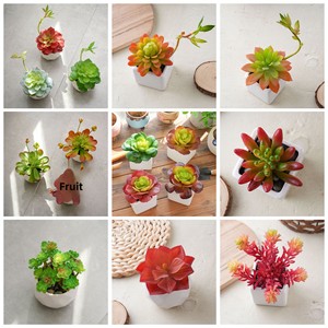 Planta Suculenta Artificial de Plástico en Maceta, Decoración para Bodas, Artesanía, Venta al por Mayor, Estilo INS, Comercio Transfronterizo - Product Image 3