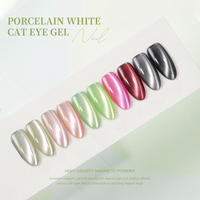 Vernis Gel UV Professionnel Effet Œil de Chat Magnétique OEM, Liquide Non Toxique, Sans HEMA, Sans TPO, Personnalisable avec Logo, 15ml