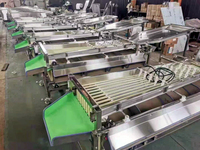Pruimensorteermachine Fruitsorteermachine Palmdata Appeluikersen Sorteermachine Voor Aardappel