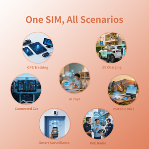 ซิมการ์ด IoT สำหรับกล้องวงจรปิด IPC ครอบคลุมอเมริกาเหนือ รองรับ 4G LTE M2M ไม่มีค่าบริการ<span class=keywords><strong>ราย</strong></span><span class=keywords><strong>เดือน</strong></span> - Product Image 2