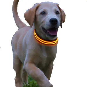 Leuchten Sie Haustier zubehör USB-Aufladung Hunde halsband LED leuchten Welpen Hunde halsband mit USB-Kabel