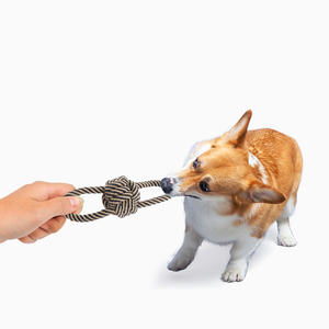Set di Giocattoli per la Dentizione degli Animali Domestici all'Ingrosso dal Produttore, Giocattoli Ecologici in Corda di Cotone per Cani e Cuccioli - Product Image 4