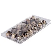 Disposable Clear Blister Plastic Quail Eggs Cartons Packaging Egg Trays Suppliers