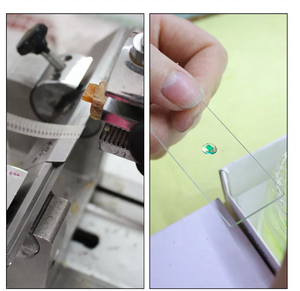 Toboganes de microcope de alta claridad, bacillos, Cpirochetes, microbiología, células de biología bacteriana, tobogán bacteriano - Product Image 6