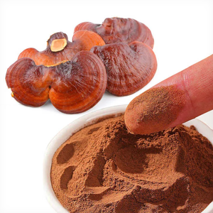 Polvo de Hongo Reishi Orgánico, Natural, Sin Transgénicos, Libre de Contaminación, Nutritivo y Fresco, Rico en Triterpenos al 1%, Alfa Glucano y Antioxidantes - Product Image 2