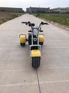 <span class=keywords><strong>รถ</strong></span>สามล้อไฟฟ้า Citycoco ได้รับการรับรองมาตรฐาน COC EEC 60V กำลังไฟ >250 วัตต์ แบบเปิดประทุน สำหรับ 2 ที่นั่ง - Product Image 5