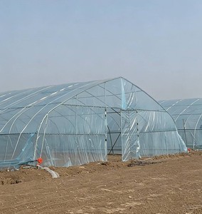 Serra a tunnel monospalla in film <span class=keywords><strong>PO</strong></span>/PE, ideale per la coltivazione di vari tipi di ortaggi, frutta e fiori - Product Image 6