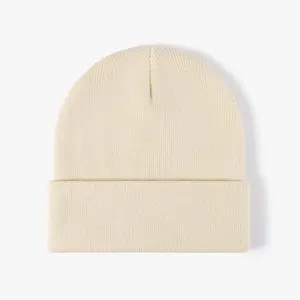 Wholesale High Quality Warm Ski Cap Skull Knit Winter Hats Custom Beanie Hat For Women
