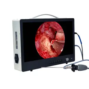 Kamera endoskopi portabel Full HD 22/24 P USB, 19/1080 inci