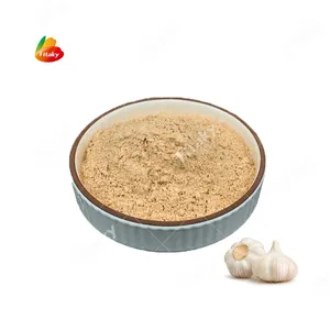 Garlic Powder /Granule Roasted Garlic 8-16 Mesh 80-120 Mesh Roasted Garlic Powder For Food