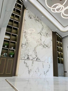 Dalle de marbre naturel de luxe SHIHUI pour sol et mur intérieur Dalles de marbre blanc huître italienne - Product Image 2