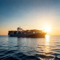 Fret maritime LCL de Ningbo vers le Pakistan, le Mexique, l'Australie, les États-Unis, DDP, FBA, dédouanement de style CPF, 22-30 jours, paiement T/T