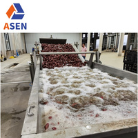 Fruitwas-En Sorteermachine Voor Bladgroente Wasmachine-En Droogmachine Voor Het Wassen Van De Groenten