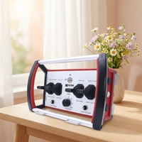 Télécommande radio certifiée NOMI NM-001 CE FCC RoHS avec sortie PWM et CAN Bus pour applications extérieures
