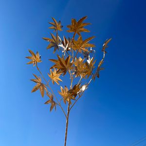 1 <span class=keywords><strong>bouquet</strong></span> <span class=keywords><strong>de</strong></span> fleurs artificielles dorées, plumes <span class=keywords><strong>de</strong></span> <span class=keywords><strong>paon</strong></span>, feuilles d'érable, feuilles d'eucalyptus, fausse plante, décoration <span class=keywords><strong>de</strong></span> mariage, <span class=keywords><strong>de</strong></span> Noël, pour la maison - Product Image 6