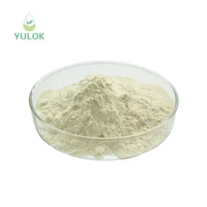 Hautpflege-Supplement-Pulver mit mehreren Funktionen Vitamin A Retinol-Pulver für kosmetisches Rohmaterial