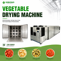 Industriële groentedroger voor grote batches (1500-2000 kg) voor gember, chili, tomaat, aardappel, ui, wortel, bieten