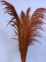 Vente en gros grande fleur d'herbe de pampa séchée Belle décoration de maison de fête de mariage de style frais sans perte de plumes