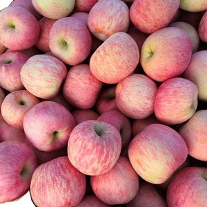 Xuanyi Công Ty Cung Cấp Trái Cây táo đỏ tươi hữu cơ táo giá rẻ tươi ngon ngọt táo fuji - Product Image 5