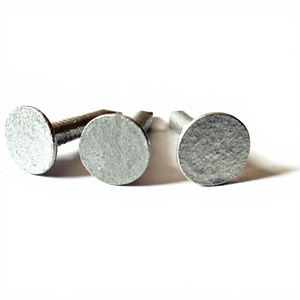 Clous pour toiture en feutre galvanisé de 3/4 pouce, 1 pouce, 1-1/4 pouce, clous pour asphalte, clous pour tuiles - Product Image 2