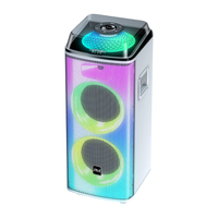 Quantité minimale de commande bas 8 pouces double sans fil pour haut-parleurs portables Bluetooth avec lumières RVB Microphone carré danse Audio carte enfichable en plastique