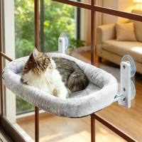 Nouveau jouet à mâcher moderne en peluche pliable pour chat, à ventouse puissante, à suspendre pour balcon, pour chatons de grande taille et corpulents