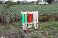 Semoir manuel portable Farmjet pour la plantation de maïs, de soja et de cacahuètes