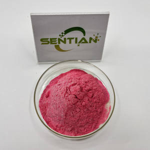 Poudre d'extrait de fraise lyophilisée en poudre de jus de fruit de fraise naturelle de haute qualité - Product Image 3