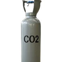 Bouteille de gaz multi-gaz CO2 en acier haute sécurité Chun Miao 50 kg 6 m 15 MPa Pression de conception 3 ans de garantie Récipient sous pression