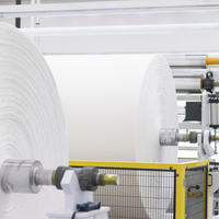 Usine personnalisé biodégradable écologique résistant à la déchirure 100% coton Spunlace tissu non tissé pour serviettes jetables pour le visage