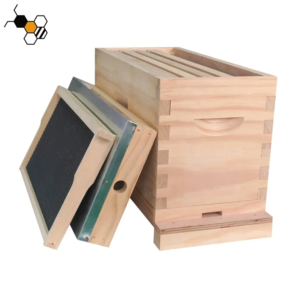 5 marcos Timber Nuc Beehive Cajas de colmena de abejas de madera ventilada Kit de inicio y Queen Breeding Nuc Box