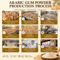 Gomme d'acacia pour la stabilisation des glaces et des desserts glacés, qualité alimentaire