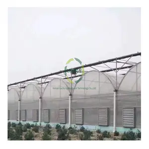 Cheap Large Automation System Industrial High Tunnel Tropical Climate Hot Galvanized Pipe Agriculture Greenhouse