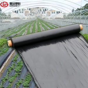 <span class=keywords><strong>Film</strong></span> de paillage biodégradable <span class=keywords><strong>noir</strong></span> 1,2 m x 500 m, plastique agricole 30 microns <span class=keywords><strong>pour</strong></span> la <span class=keywords><strong>plantation</strong></span> d'ananas - Product Image 1