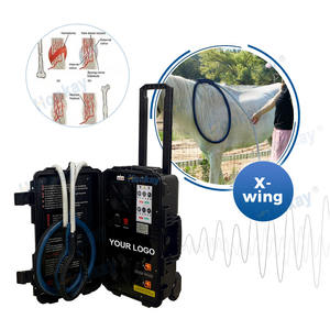 Machine de thérapie Pemf vétérinaire équine à double contrôle professionnel dispositif magnéto Portable soulagement et réadaptation de la douleur du cheval - Product Image 1