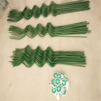 Piquets en spirale en métal galvanisé pour tomates, treillis de support pour plantes grimpantes, légumes, fleurs et vigne