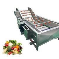 Machine multifonctionnelle entièrement automatique en acier inoxydable pour le lavage et le séchage des fruits et légumes, avec tamis vibrant pour citrons, pour la vente en gros