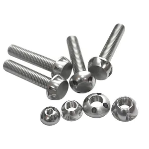 Fastener supplier Stainless Steel Anti-theft Bolt And Nut Wheel Lock Nut Security Bolt