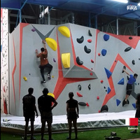 Paneles Modulares de Pared de Escalada en Roca para Interiores y Exteriores, Preperforados, con Revestimiento de Poliéster Reforzado con Fibra de Vidrio, en Venta