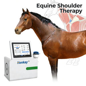 Ondes de choc électromagnétiques focalisées professionnelles pour animaux, pour soulager la douleur, améliorer la mobilité et lutter contre l'inflammation - Product Image 1