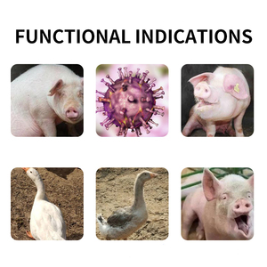 Hiệu quả tốt Radix bupleuri chiết xuất Radix bupleuri Trung Quốc thorowax gốc chiết xuất thức ăn phụ gia - Product Image 6