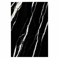 Dalle de pierre frittée polie noire Fossil avec veinage noir et blanc pour murs et sols de cuisine, hôtels et villas