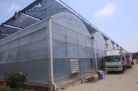 Serre intelligente de grande taille de la marque ZHUOTAI avec système hydroponique, fabriquée en Chine
